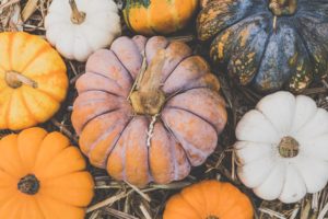 Courge - pexels