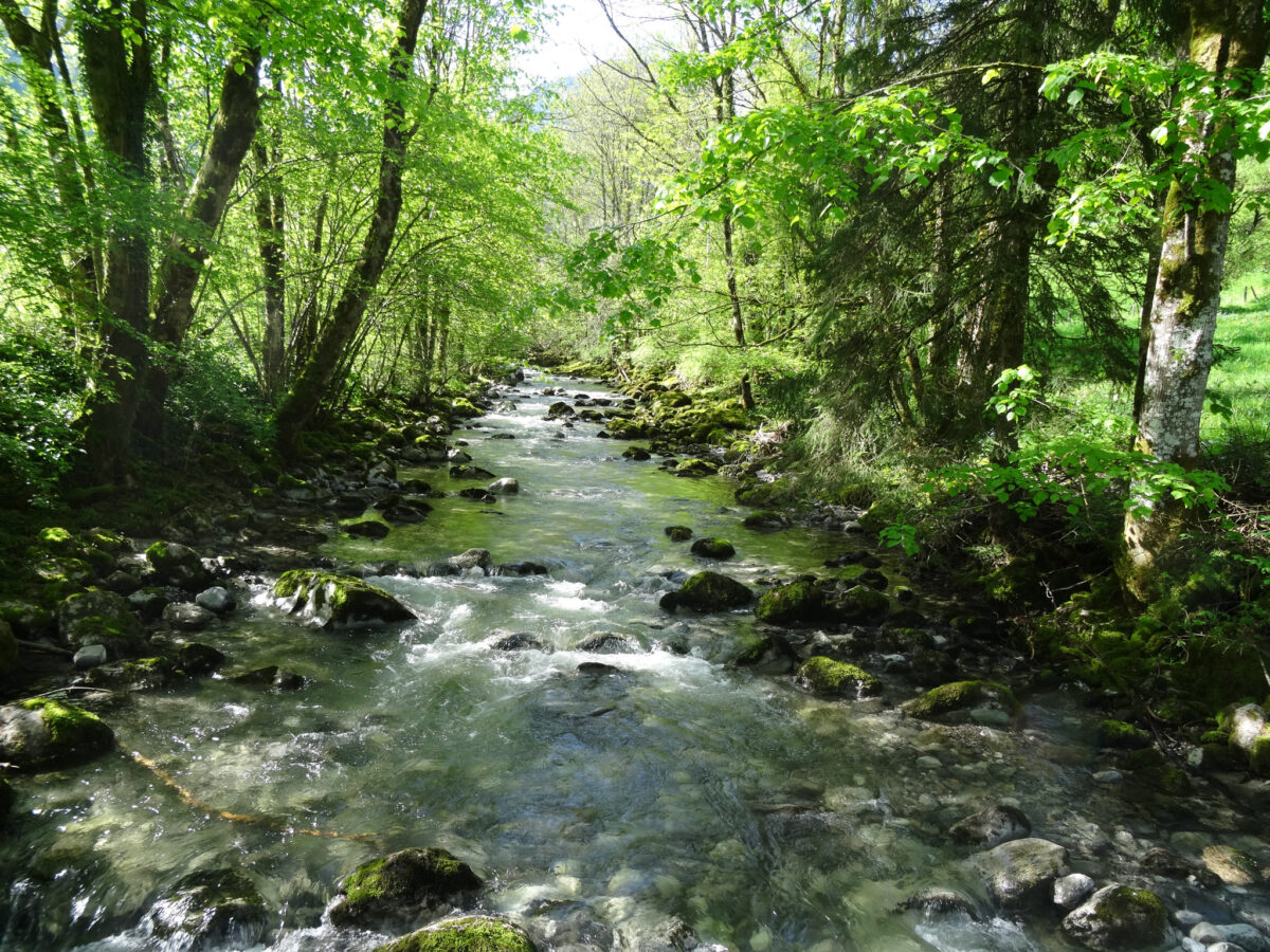 Ensemble, nettoyons la Fillière
